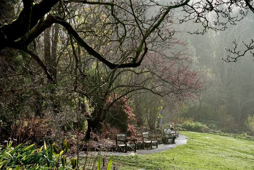 UC Botanical Garden at Berkeley