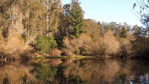 Ultimate Guide to Tilden Regional Park - Visit Berkeley